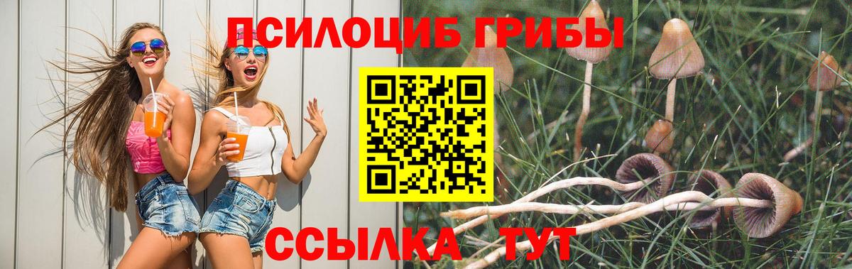 Вязьма  продажа наркотиков  Вход с VPN  Галлюциногенные грибы ЛСД 