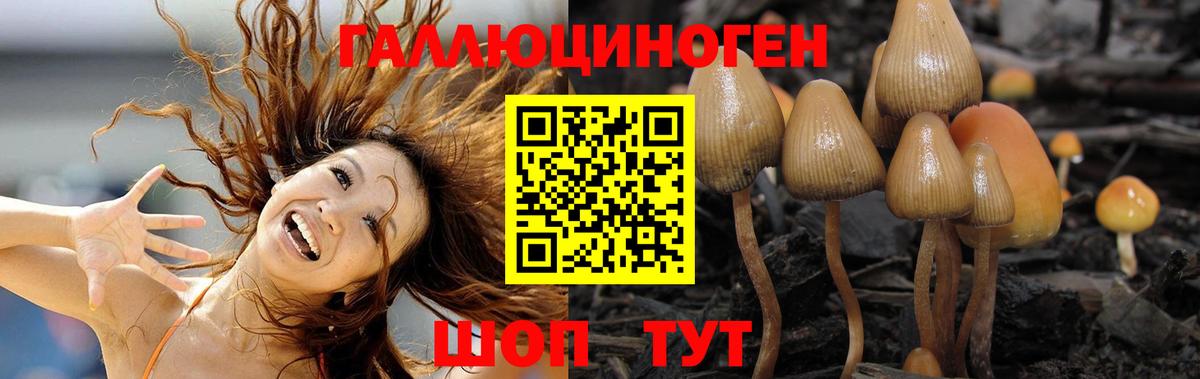 Галлюциногенные грибы Magic Shrooms Вязьма